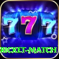 women cricket match Deluxe v3.1.2